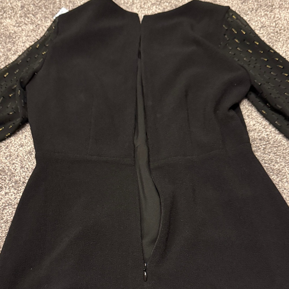 Ann Taylor Dress with Sheer Metallic Statement Sleeves - wedding guest - Picture 9 of 11